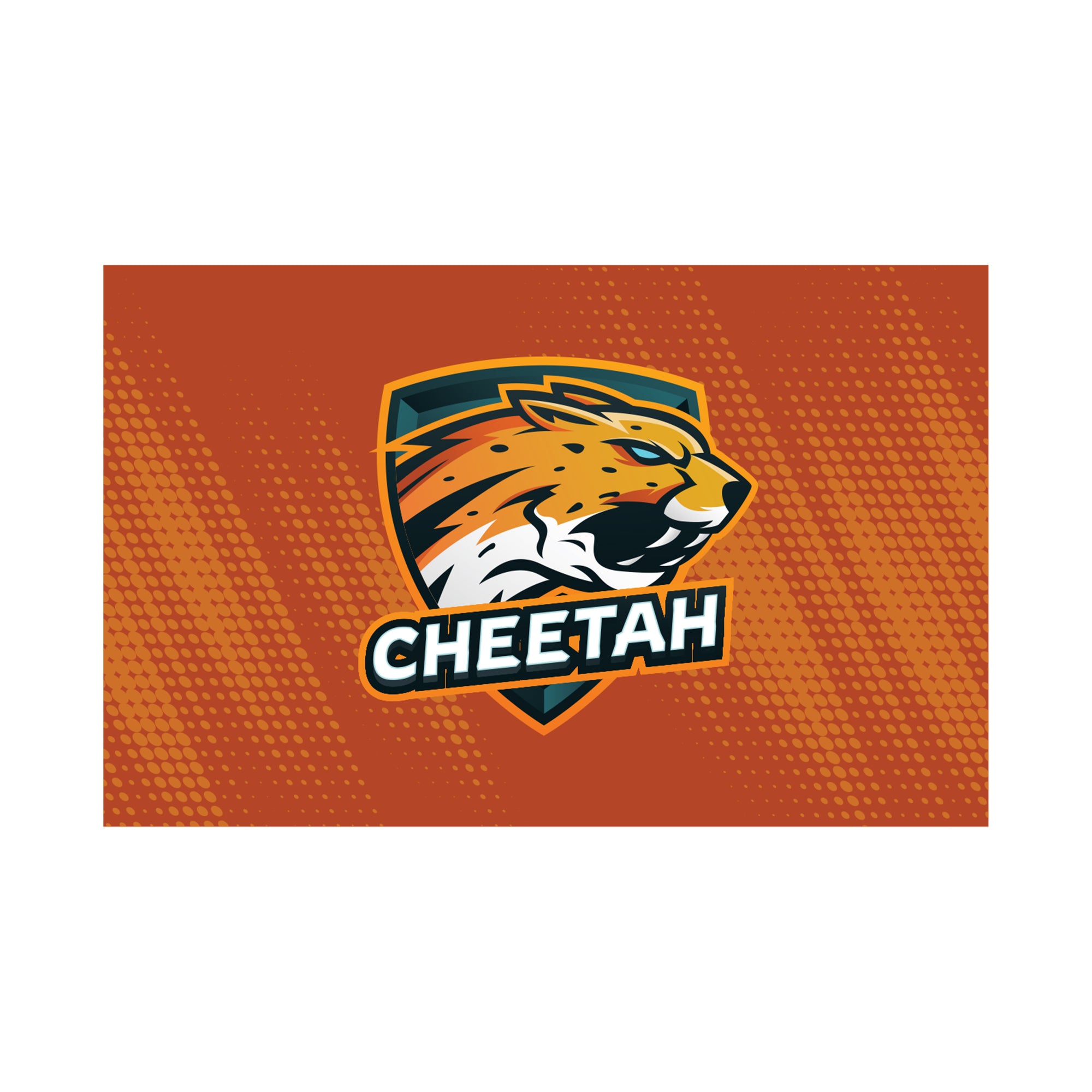 Custom Breakaway Banners