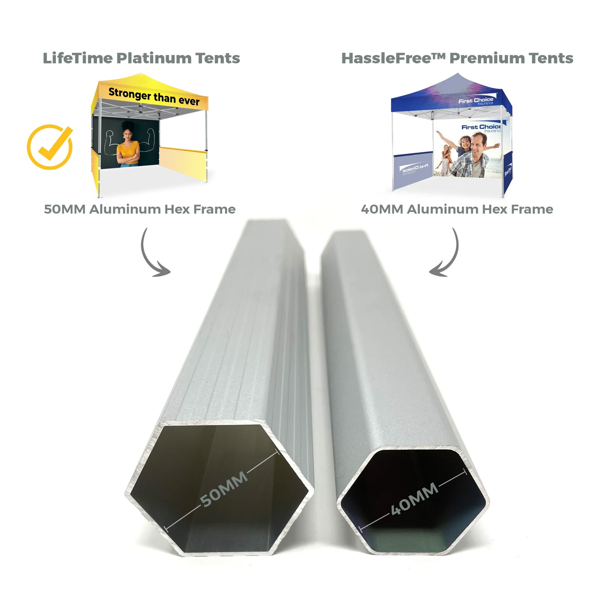 10x10 Platinum LifeTime Tent with Full Color Canopy, Back Wall and Side Walls