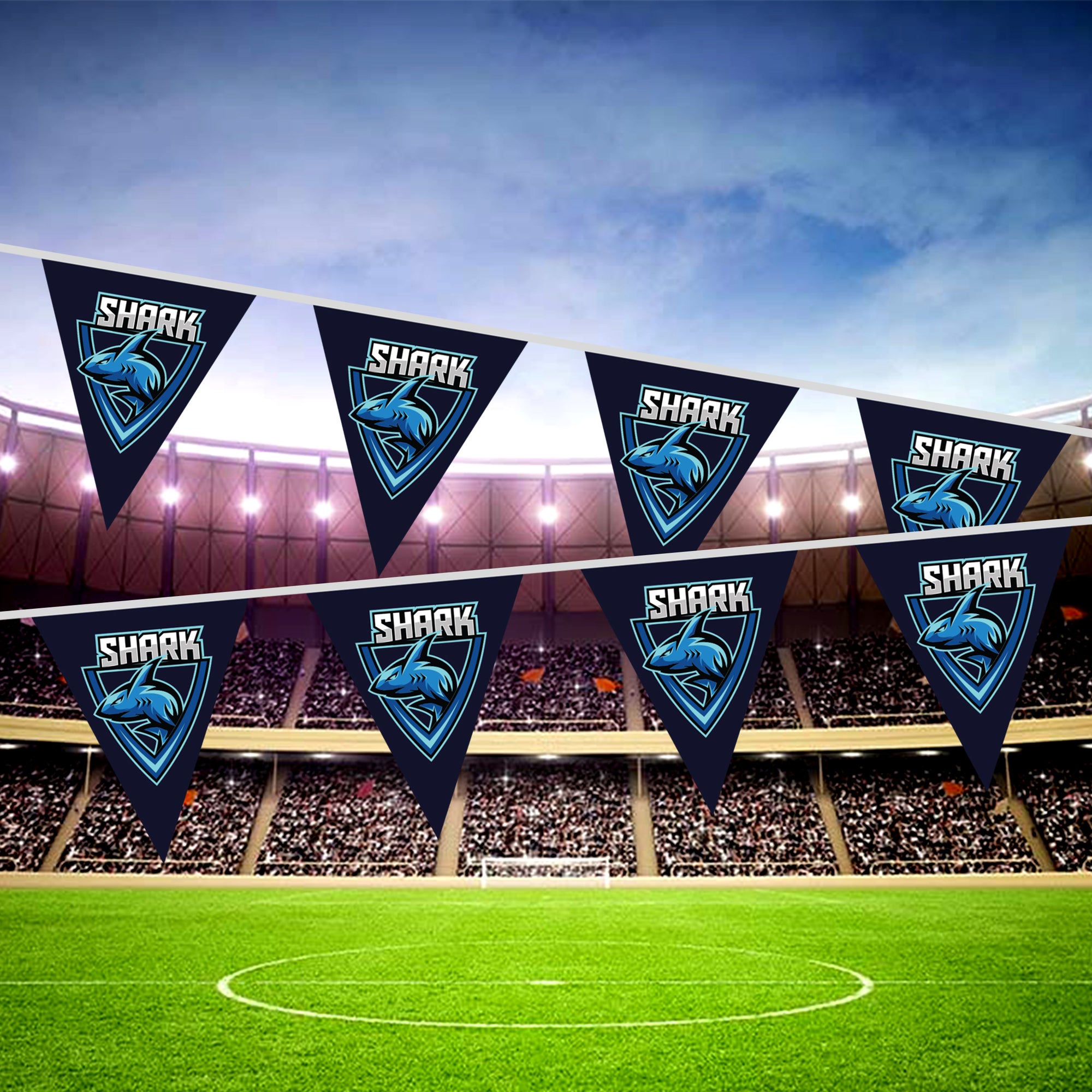 Triangle Pennant String Flags