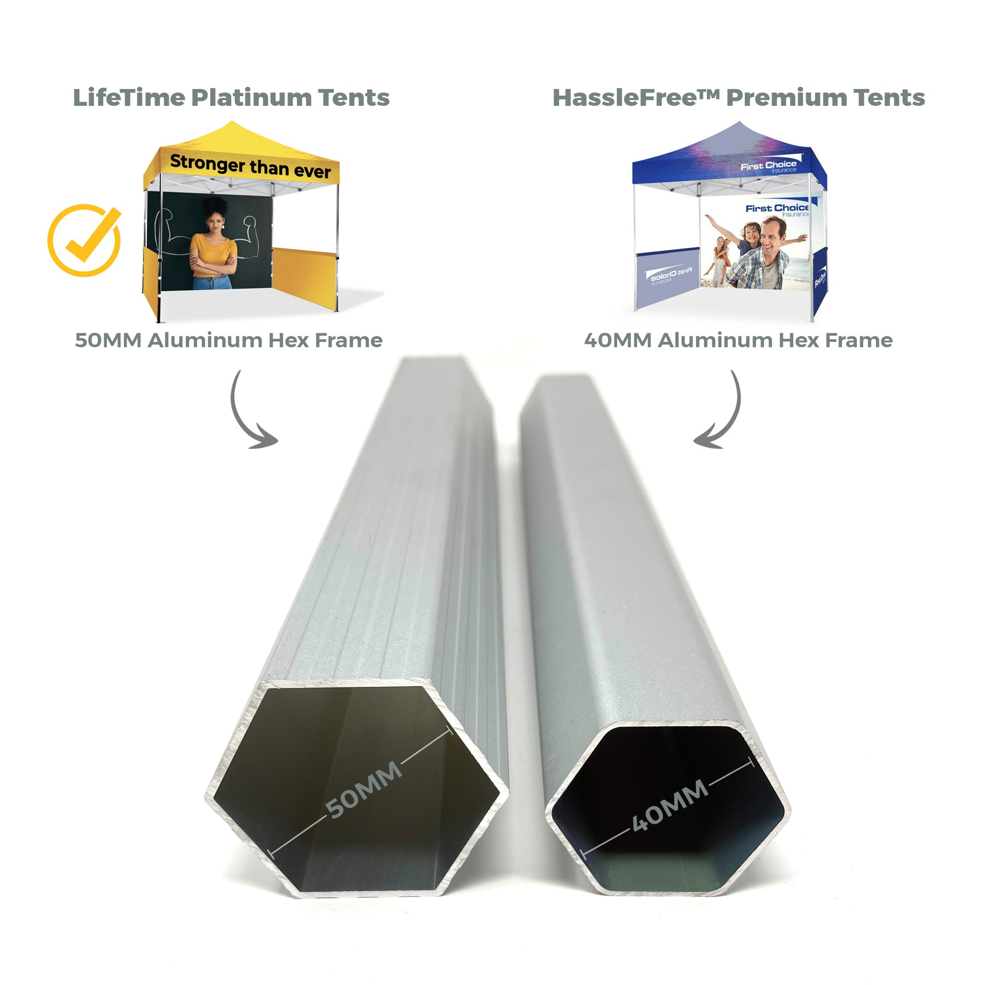 10x10 Platinum LifeTime Tent with Full Color Canopy and Back Wall