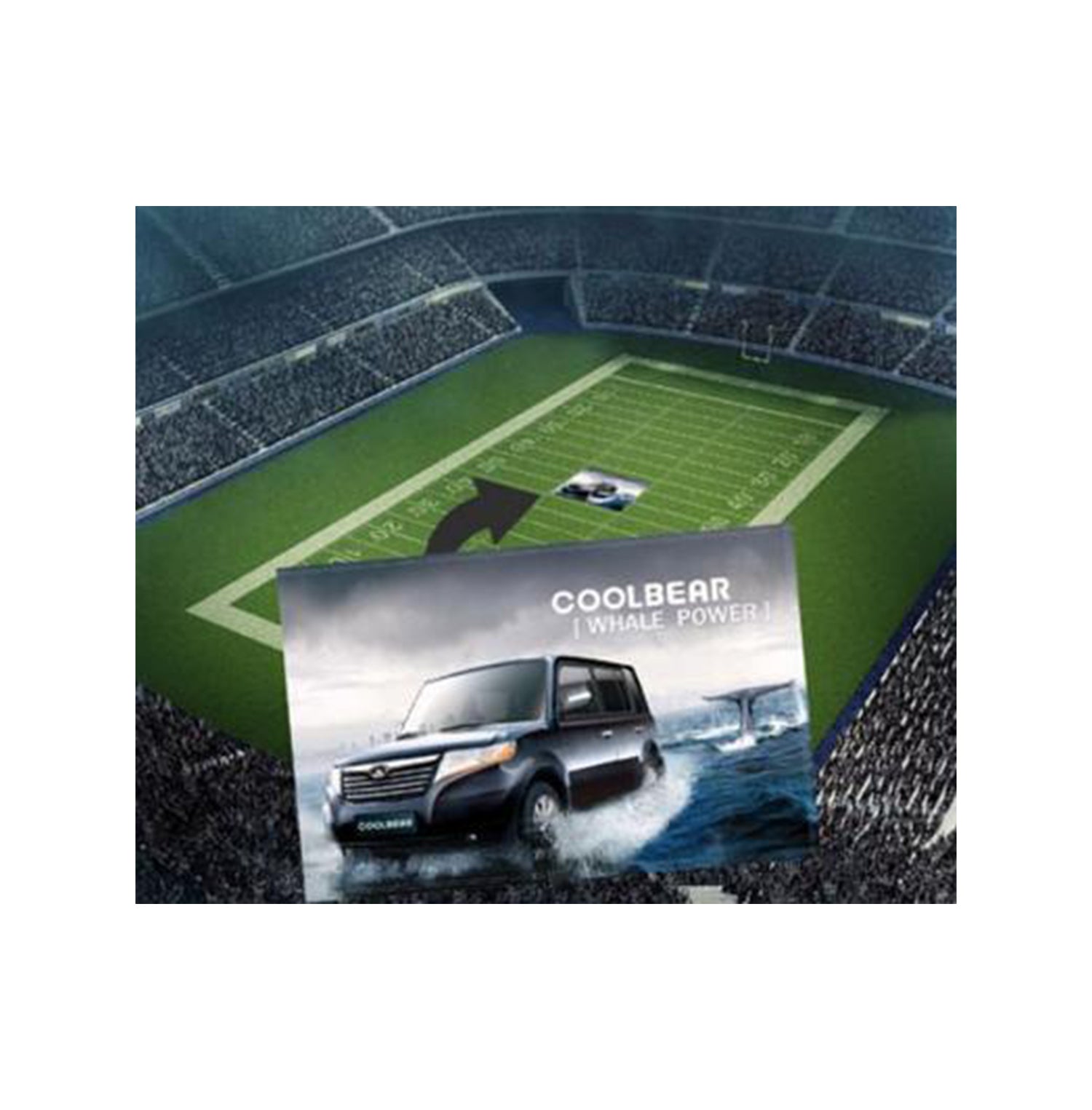 Extra Large Stadium Flags